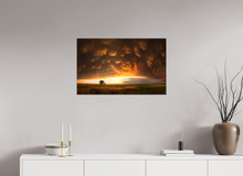 Load image into Gallery viewer, Evening Glory