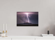 Load image into Gallery viewer, Night Owl