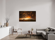 Load image into Gallery viewer, Evening Glory