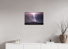 Load image into Gallery viewer, Night Owl