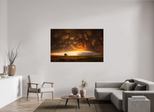 Load image into Gallery viewer, Evening Glory