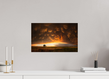 Load image into Gallery viewer, Evening Glory