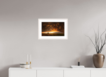 Load image into Gallery viewer, Evening Glory