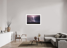 Load image into Gallery viewer, Night Owl
