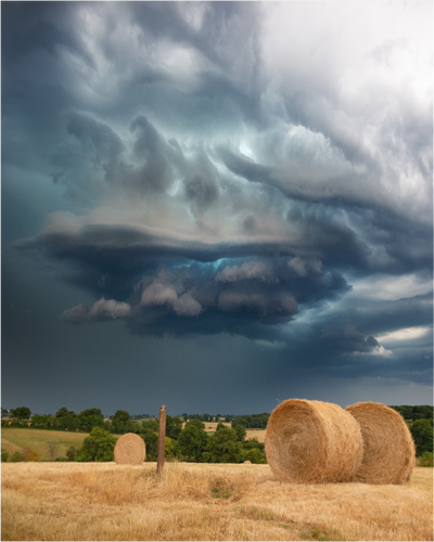 Blue Meso