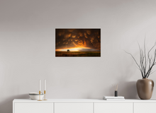 Load image into Gallery viewer, Evening Glory