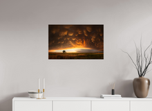 Load image into Gallery viewer, Evening Glory