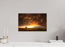 Load image into Gallery viewer, Evening Glory