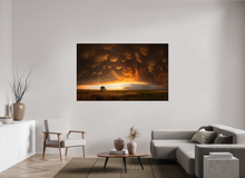 Load image into Gallery viewer, Evening Glory