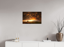 Load image into Gallery viewer, Evening Glory