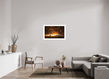 Load image into Gallery viewer, Evening Glory