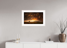 Load image into Gallery viewer, Evening Glory